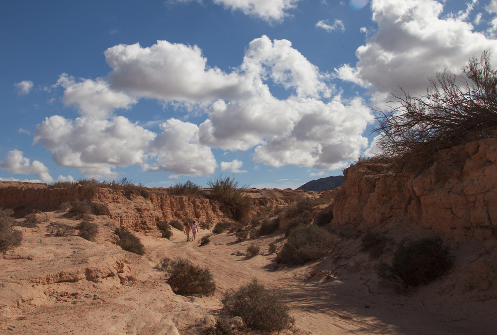 Fuerteventura Canary Islands 